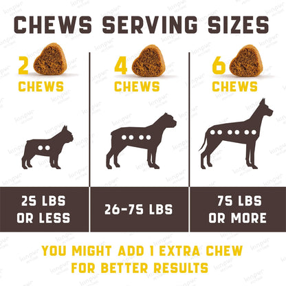 Probiotics For Dogs Support Gut Health Itchy Skin Allergies Yeast Balance Immunity Dog Probiotics And Digestive Enzymes For Small Medium And Large Dogs 180 Probiotic Chews For Dogs Duck Flavor