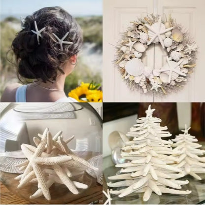 20 PCS 2-4 Inch 4-6 Inch Bulk Natural Real Starfish For DIY Crafts Wedding Beach Christmas Tree Ornaments