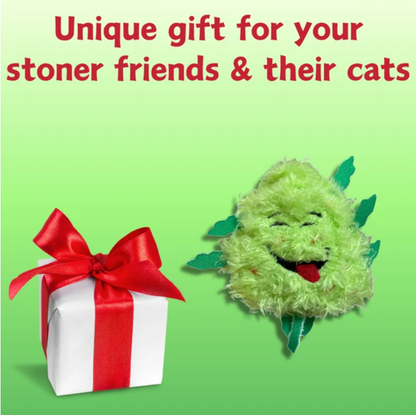 My Name Is Bud Jr, Funny Catnip Weed Nug Cat Toy, Cute Stuffed Parody Pot Nug, Cool Plush 420 Novelty Gift For Cats, Kittens & Their Owners, For Play  A Photo Prop
