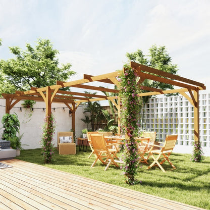 Arbecue And Cooking Pergola