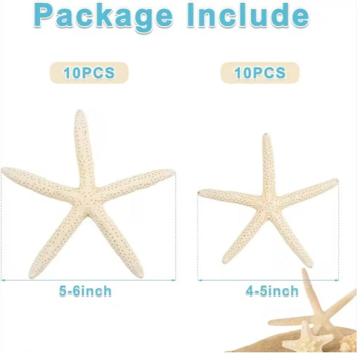 20 PCS 2-4 Inch 4-6 Inch Bulk Natural Real Starfish For DIY Crafts Wedding Beach Christmas Tree Ornaments