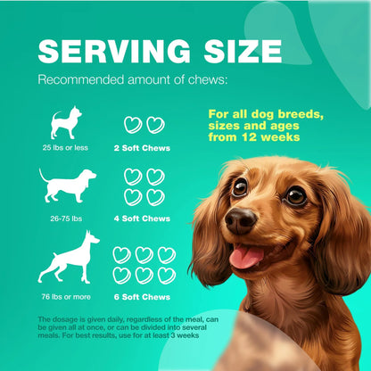 Do Not Sell On Amazon Probiotics For Dogs Support Gut Health Immunity Yeast Balance Itchy Skin Allergies Probiotics And Digestive Enzymes Coprophagia Deterrent For Dogs 180 Probiotic Chews For Dogs