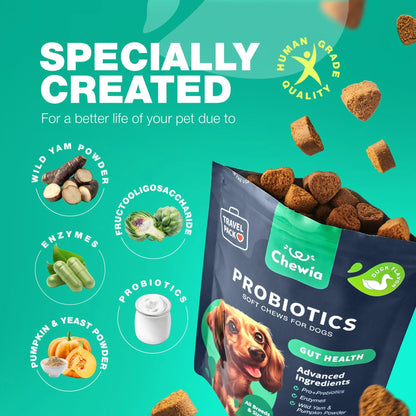 Do Not Sell On Amazon Probiotics For Dogs Support Gut Health Immunity Yeast Balance Itchy Skin Allergies Probiotics And Digestive Enzymes Coprophagia Deterrent For Dogs 180 Probiotic Chews For Dogs