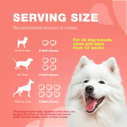 Dog Flea And Tick Treatment Chews FleaTick Prevention For Dogs Chewables Natural Dog Flea & Tick Control Soft Treats Immune Support Supplement