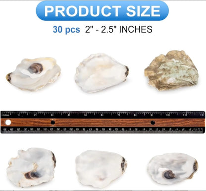 30pcs Oyster Shells With Pearl Bulk Natural Oyster Shells For Crafts DIY Arts Xmas Ornaments
