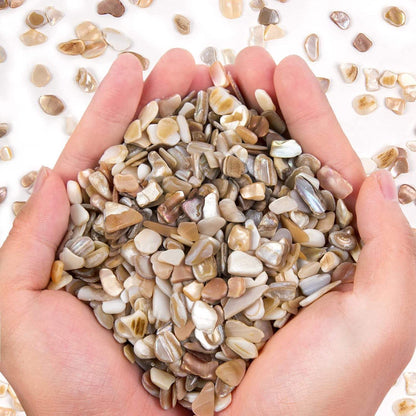 Small Natural Crushed Shells For Crafts About 2LB 900g 31.74oz DIY Beaching Wedding Decoration Vase Fillers