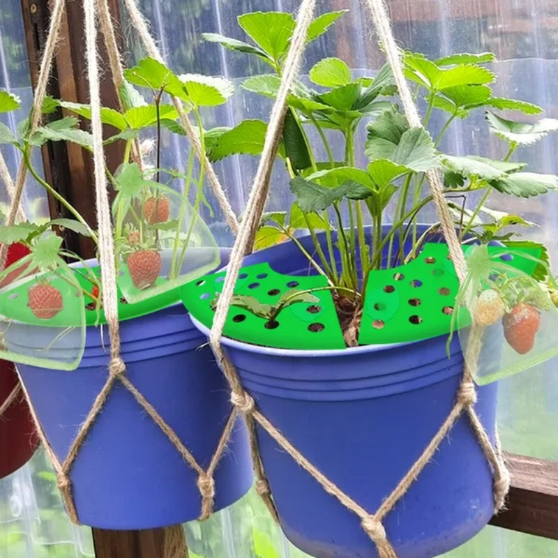 8Pcs Strawberry Planting Kit With 20Pcs Insect-proof Mesh Bag Reusable Strawberry Growing Racks Frame Protecting Strawberry Plants
