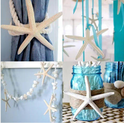 20 PCS 2-4 Inch 4-6 Inch Bulk Natural Real Starfish For DIY Crafts Wedding Beach Christmas Tree Ornaments