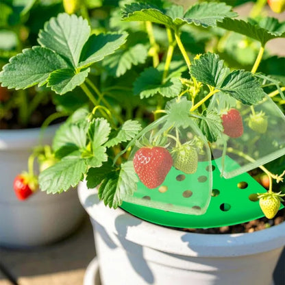 8Pcs Strawberry Planting Kit With 20Pcs Insect-proof Mesh Bag Reusable Strawberry Growing Racks Frame Protecting Strawberry Plants