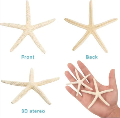 20 PCS 2-4 Inch 4-6 Inch Bulk Natural Real Starfish For DIY Crafts Wedding Beach Christmas Tree Ornaments