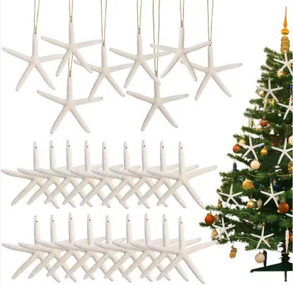 20 PCS Christmas Starfish Hanging Ornaments 3-4'' Natural Starfish With Rope