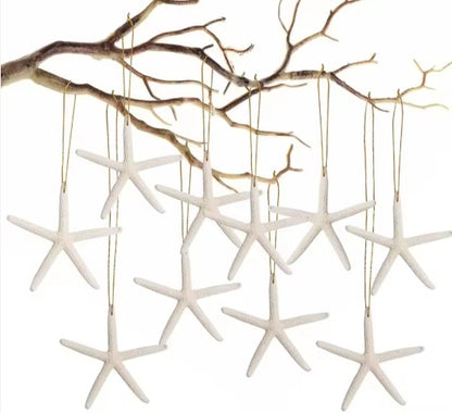 20 PCS Christmas Starfish Hanging Ornaments 3-4'' Natural Starfish With Rope