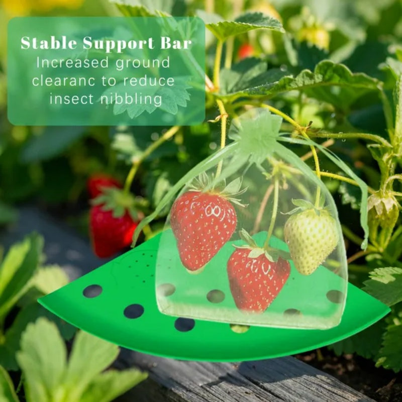 8Pcs Strawberry Planting Kit With 20Pcs Insect-proof Mesh Bag Reusable Strawberry Growing Racks Frame Protecting Strawberry Plants