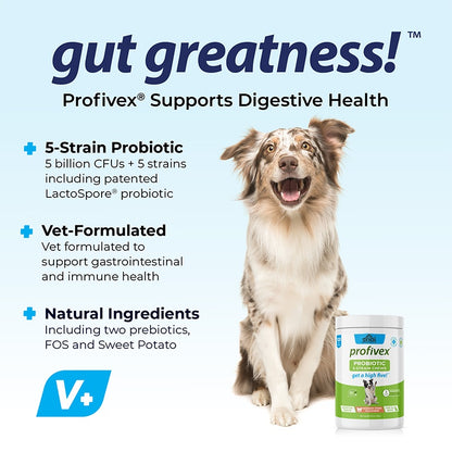 OEM Hot Sales Probiotics Chews For Pets Customized Shape For Digestive Health Pets Supplement Healthy Gut For Dogs