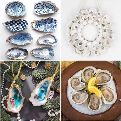 30pcs Oyster Shells With Pearl Bulk Natural Oyster Shells For Crafts DIY Arts Xmas Ornaments