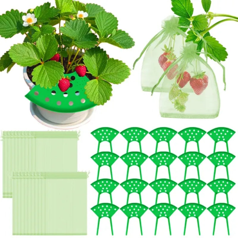 8Pcs Strawberry Planting Kit With 20Pcs Insect-proof Mesh Bag Reusable Strawberry Growing Racks Frame Protecting Strawberry Plants